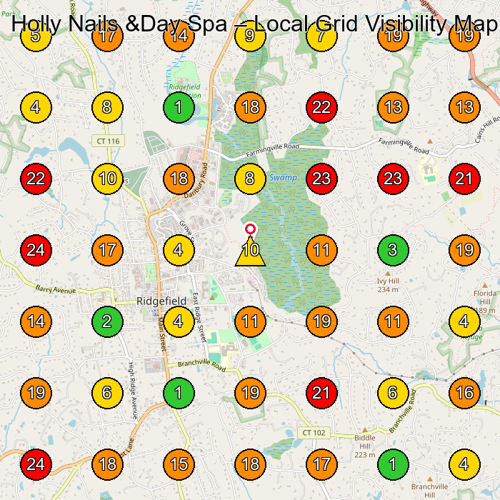Holly Nails &Day Spa Nail Salon GeoGrid ranking map for Ridgefield CT